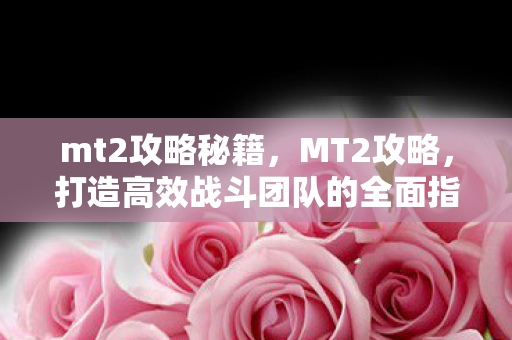 mt2攻略秘籍，MT2攻略，打造高效战斗团队的全面指南