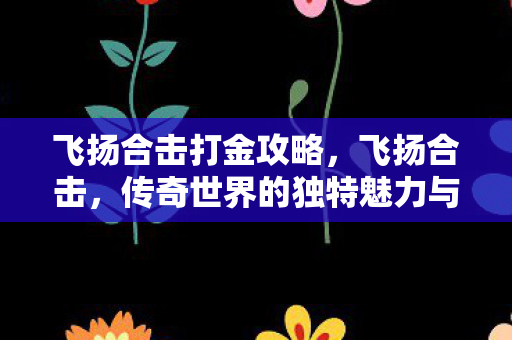 飞扬合击打金攻略，飞扬合击，传奇世界的独特魅力与玩家情怀