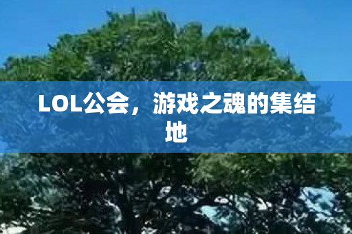 LOL公会，游戏之魂的集结地