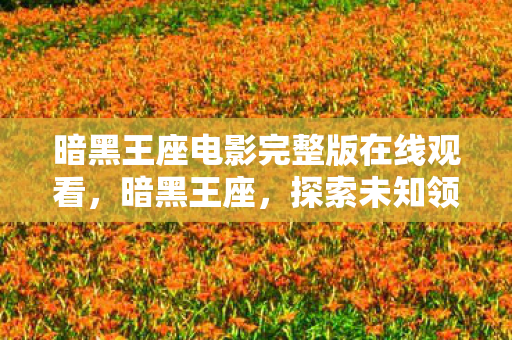 暗黑王座电影完整版在线观看，暗黑王座，探索未知领域的奇幻之旅