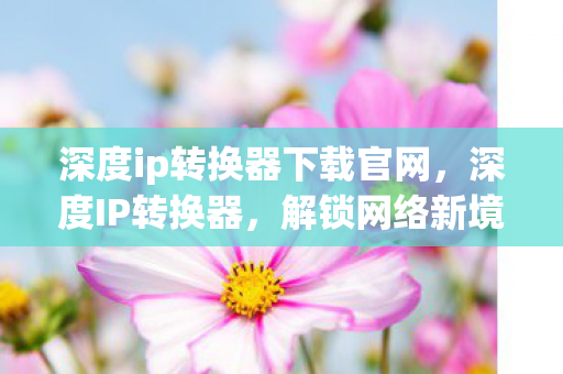 深度ip转换器下载官网，深度IP转换器，解锁网络新境界的利器