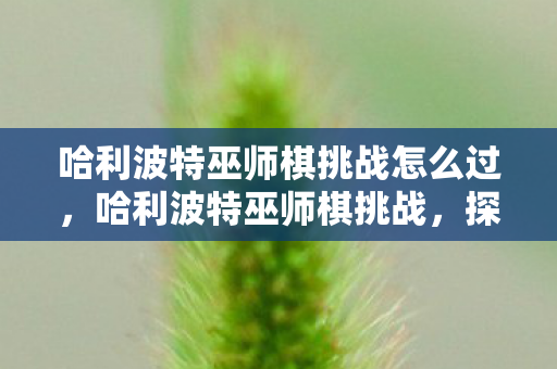 哈利波特巫师棋挑战怎么过，哈利波特巫师棋挑战，探索魔法世界的智慧与策略