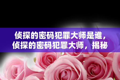 侦探的密码犯罪大师是谁，侦探的密码犯罪大师，揭秘数字时代的隐秘挑战