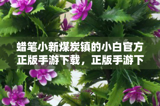 蜡笔小新煤炭镇的小白官方正版手游下载，正版手游下载，安全、便捷的游戏体验