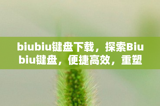 biubiu键盘下载，探索Biubiu键盘，便捷高效，重塑输入新体验