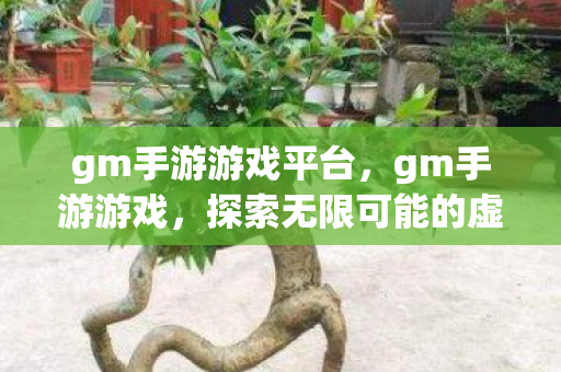 gm手游游戏平台，gm手游游戏，探索无限可能的虚拟世界