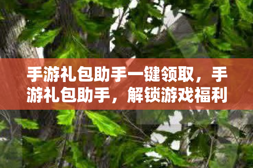 手游礼包助手一键领取，手游礼包助手，解锁游戏福利，助力玩家畅游虚拟世界