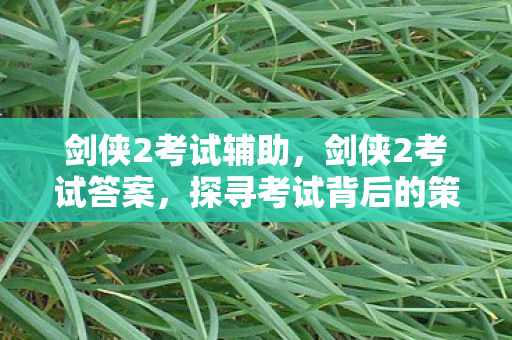 剑侠2考试辅助，剑侠2考试答案，探寻考试背后的策略与技巧