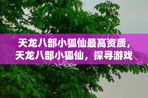 天龙八部小狐仙最高资质，天龙八部小狐仙，探寻游戏中的神秘角色