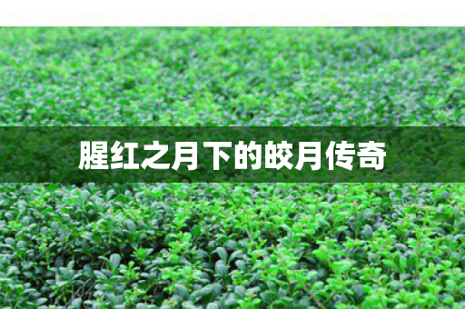 腥红之月下的皎月传奇