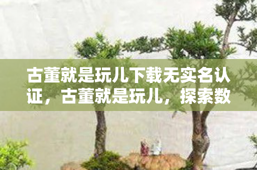 古董就是玩儿下载无实名认证，古董就是玩儿，探索数字藏品的新领域