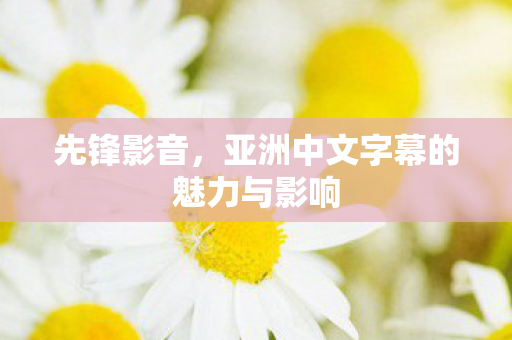先锋影音,亚洲中文字幕的魅力与影响 先锋影音,亚洲中文字幕的魅力与影响