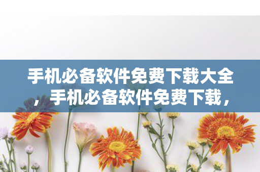 手机必备软件免费下载大全，手机必备软件免费下载，打造高效便捷的智能生活