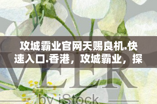 攻城霸业官网天赐良机.快速入口.香港，攻城霸业，探索策略游戏中的智慧与勇气