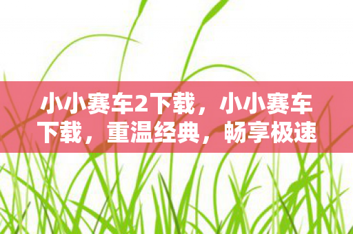 小小赛车2下载，小小赛车下载，重温经典，畅享极速赛车之旅
