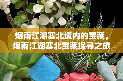 烟雨江湖塞北境内的宝藏，烟雨江湖塞北宝藏探寻之旅