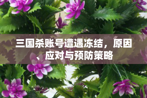 三国杀账号遭遇冻结，原因、应对与预防策略