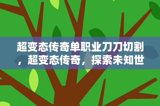 超变态传奇单职业刀刀切割，超变态传奇，探索未知世界的无尽冒险
