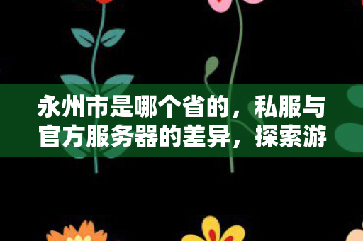 永州市是哪个省的,私服与官方服务器的差异,探索游戏世界的不同维度 永州市是哪个省的,私服与官方服务器的差异,探索游戏世界的不同维度