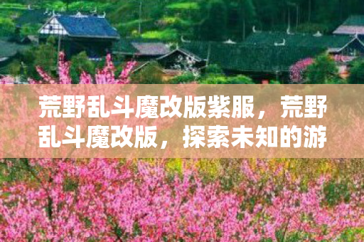 荒野乱斗魔改版紫服，荒野乱斗魔改版，探索未知的游戏世界