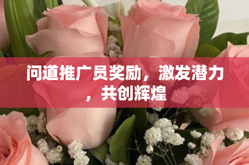 问道推广员奖励，激发潜力，共创辉煌