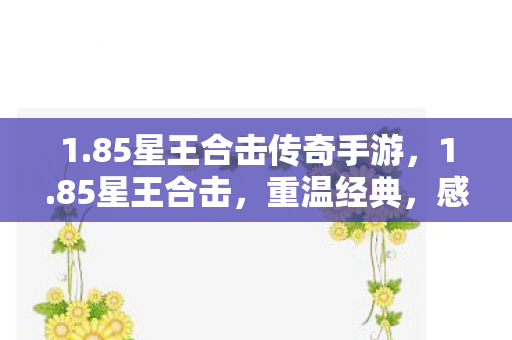 1.85星王合击传奇手游，1.85星王合击，重温经典，感受传奇魅力