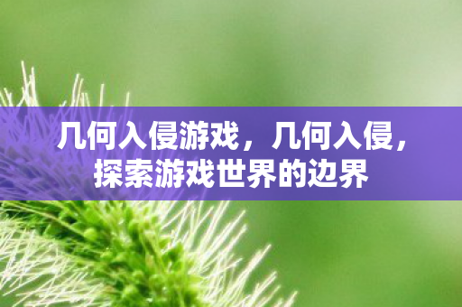 几何入侵游戏，几何入侵，探索游戏世界的边界