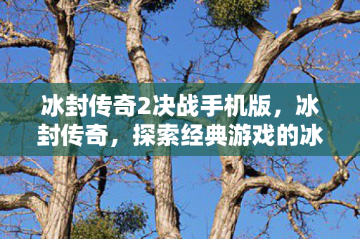 冰封传奇2决战手机版，冰封传奇，探索经典游戏的冰封世界
