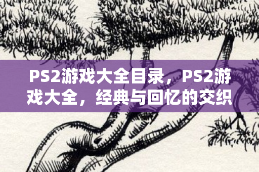 PS2游戏大全目录，PS2游戏大全，经典与回忆的交织