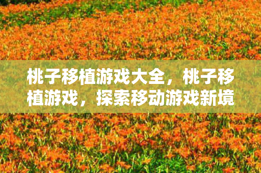 桃子移植游戏大全，桃子移植游戏，探索移动游戏新境界