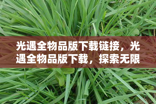 光遇全物品版下载链接，光遇全物品版下载，探索无限可能的奇妙之旅