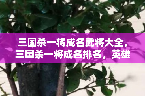 三国杀一将成名武将大全，三国杀一将成名排名，英雄辈出，谁领风骚？