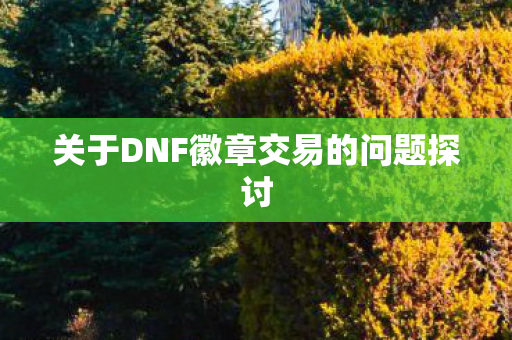 关于DNF徽章交易的问题探讨