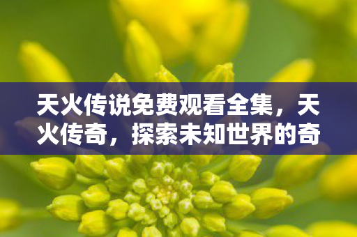 天火传说免费观看全集，天火传奇，探索未知世界的奇幻之旅