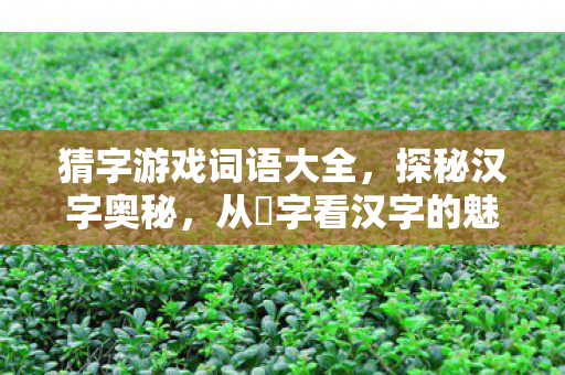 猜字游戏词语大全，探秘汉字奥秘，从叡字看汉字的魅力