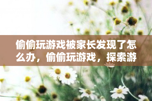 偷偷玩游戏被家长发现了怎么办，偷偷玩游戏，探索游戏世界的另一面