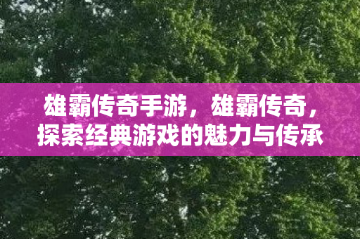 雄霸传奇手游，雄霸传奇，探索经典游戏的魅力与传承