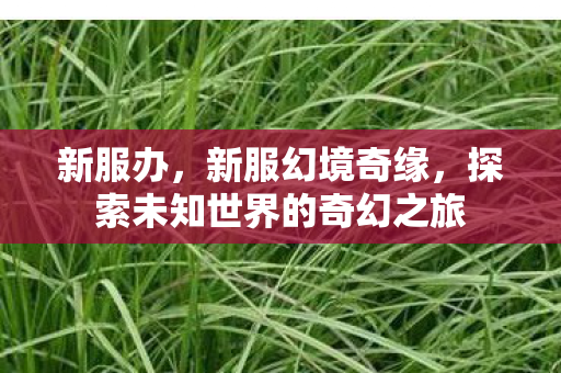 新服办，新服幻境奇缘，探索未知世界的奇幻之旅
