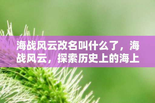 海战风云改名叫什么了，海战风云，探索历史上的海上战争与战略博弈