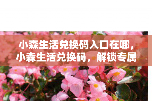 小森生活兑换码入口在哪，小森生活兑换码，解锁专属福利，畅享游戏乐趣