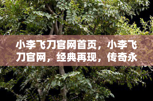 小李飞刀官网首页，小李飞刀官网，经典再现，传奇永恒
