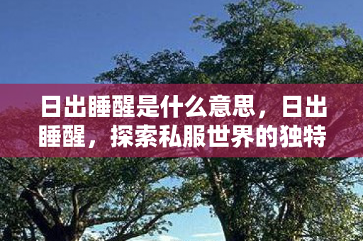 日出睡醒是什么意思，日出睡醒，探索私服世界的独特魅力