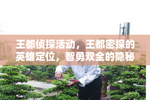 王都侦探活动，王都密探的英雄定位，智勇双全的隐秘守护者