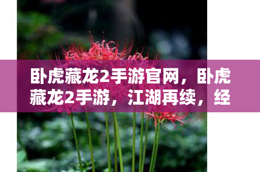 卧虎藏龙2手游官网，卧虎藏龙2手游，江湖再续，经典再现