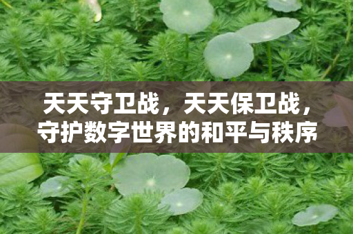 天天守卫战，天天保卫战，守护数字世界的和平与秩序