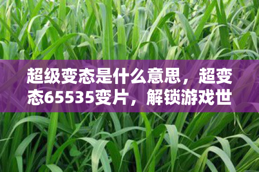 超级变态是什么意思，超变态65535变片，解锁游戏世界的无限可能