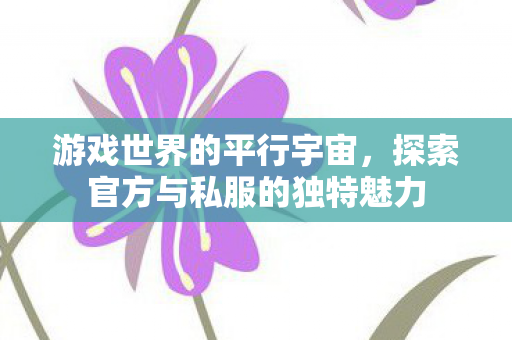 游戏世界的平行宇宙,探索官方与私服的独特魅力 游戏世界的平行宇宙,探索官方与私服的独特魅力