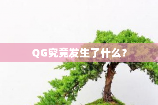 QG究竟发生了什么？