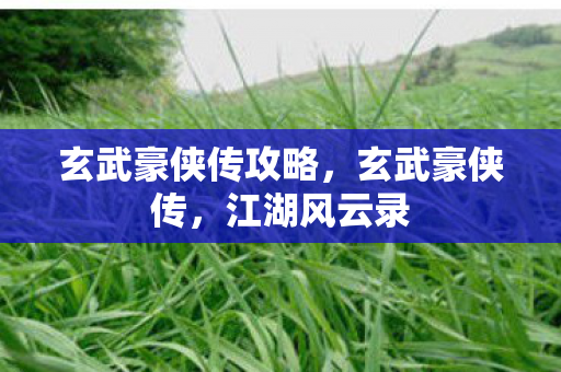 玄武豪侠传攻略，玄武豪侠传，江湖风云录