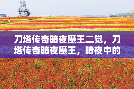 刀塔传奇暗夜魔王二觉，刀塔传奇暗夜魔王，暗夜中的王者，传奇的延续